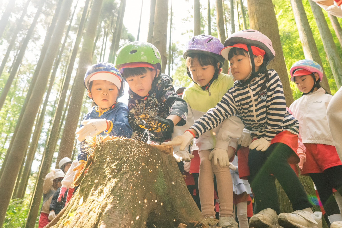 間伐体験(年長クラス)